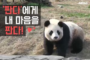 "판다야 친해지자"&hellip;한국 유일 사육사 '지극정성'