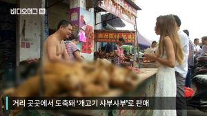 "전통이다" vs "잔인하다"&hellip;中 개고기 축제 논란
