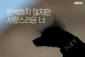 가장 못생겨서 우승한 개&hellip;편견 걷어낸 대회