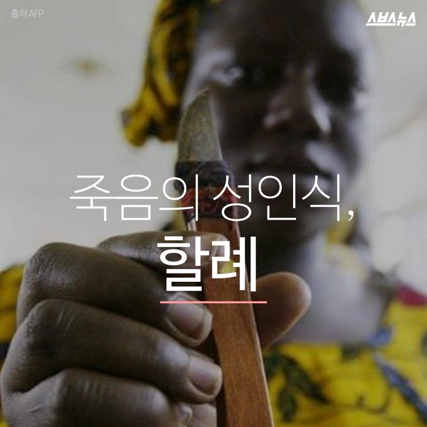 슬라이드 이미지 1