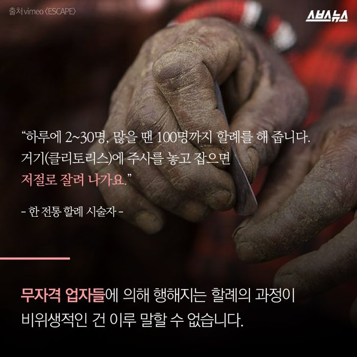 메인이미지  9 : 