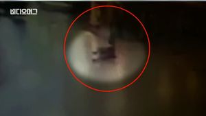 [비디오머그] '쓰러지면서도 폭탄 터뜨리는' 테러 당시 영상&hellip;공항 아수라장