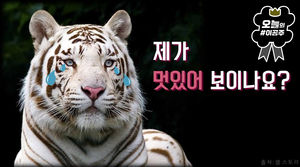'백호'를 아시나요?&hellip;잔혹한 출생의 비밀