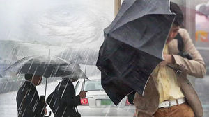 [취재파일] 한라산에 180mm 넘는 폭우&hellip;겨울 맞나?