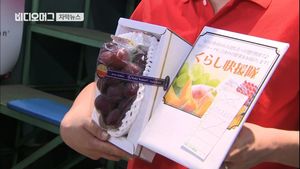 [자막뉴스] 포도 한 송이에 1,250만 원&hellip;日, 명품 먹거리 사랑