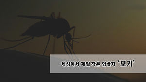 [마이그린라이프] 모기의 치명적 위협&hellip;우리 아이 구하는 법
