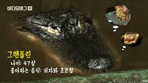 [비디오머그] '제일 좋아하는 건 피자'&hellip;악어와 47년째 동거 중
