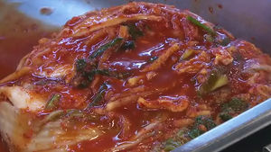 더 세고 강한 '김치 유산균'&hellip;대장암 막는다