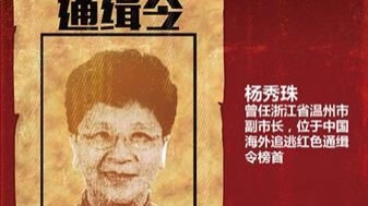 "中 수배대상 1호 부패사범, 이르면 내달 자진 귀국"