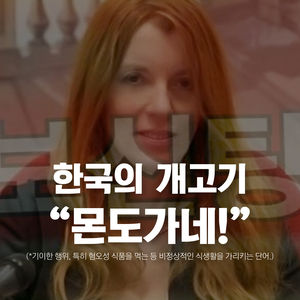[카드뉴스] 공포의 한국 식탁&hellip;'개고기' 바라보는 외국인의 시선