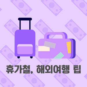 [카드뉴스] "달러로 환전하는 게 이득"&hellip;해외여행 5가지 팁