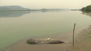 [취재파일] 죽어가는 낙동강&hellip;바닥 썩고, 산소 없고, 수질 악화 3중고