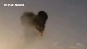 16명 사망한 美텍사스 열기구 조종사, 음주운전 4차례 전과