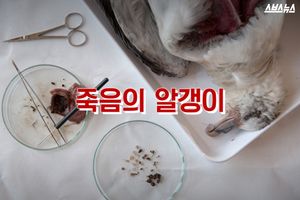 선진국서 금지된 '죽음의 알갱이'&hellip;규제 없는 한국