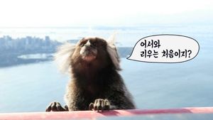 [비디오머그] 리우 팡데아수카르 현지 촬영 중 만난 '시선강탈' 핫스타는 누구?