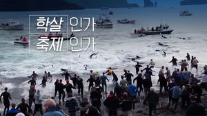 학살인가 축제인가