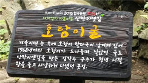 "군수가 청년시절 창들고 사냥" 괴산군 호랑이 굴 홍보 '황당'