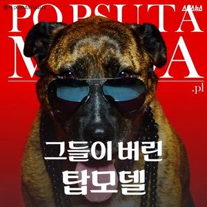 '표지 모델'이 된 유기견들