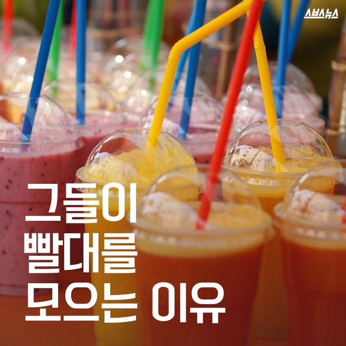 메인이미지  1 : 