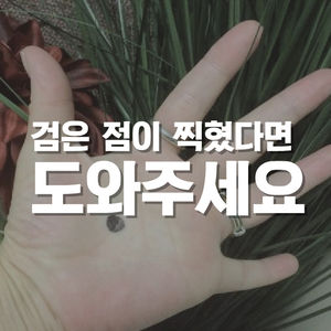[카드뉴스] 검은 점이 찍혔다면 도와주세요