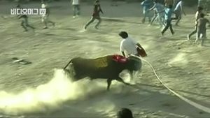 [비디오머그] 사람 공격한 성난 황소&hellip;난장판이 된 축제