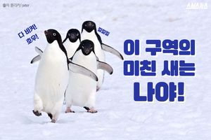'남극의 신사' 귀여운 펭귄?&hellip;포악한 진실