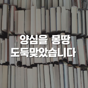 [카드뉴스] '양심도서관' 5년 뒤&hellip;책과 함께 사라진 양심