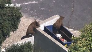 [비디오머그] 우리 집은 내가 지킨다!&hellip;곰 쫓아낸 개
