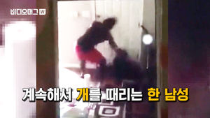 [비디오머그] 무자비하게 개를 구타하는 한 남성&hellip;이유는?