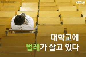 대학교에 벌레가 살고있다