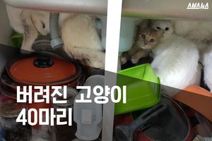 가정집서 발견된 고양이 40마리&hellip;사라진 주인