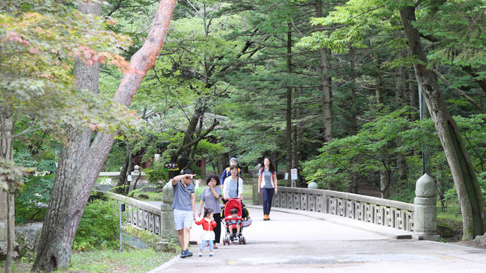 메인이미지  1 : 3일 오후 충북 보은군 속리산국립공원 법주사 등산로에서 등산객들이 가을 산행을 즐기고 있다