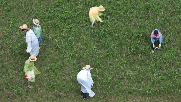 메인이미지  3 : 10일 오후 경주시 첨성대 서편 신라왕경유적일원에서 열린 '제2회 신라임금 이발하는 날' 행사에서 참가자들이 벌초 작업을 하고 있다. 온라인으로 사전신청한 시민 및 유학생 3천500여 명이 참가하려던 이날 행사는 갑자기 내린 비로 약식으로 진행됐다.