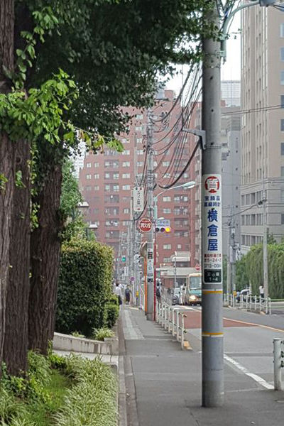 도쿄 거리의 전봇대 행렬
