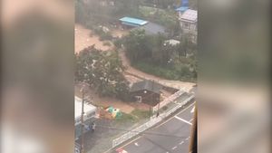 [제보영상] 하천에 떠내려가 부서지는 집&hellip;울산도 태풍 피해 속출