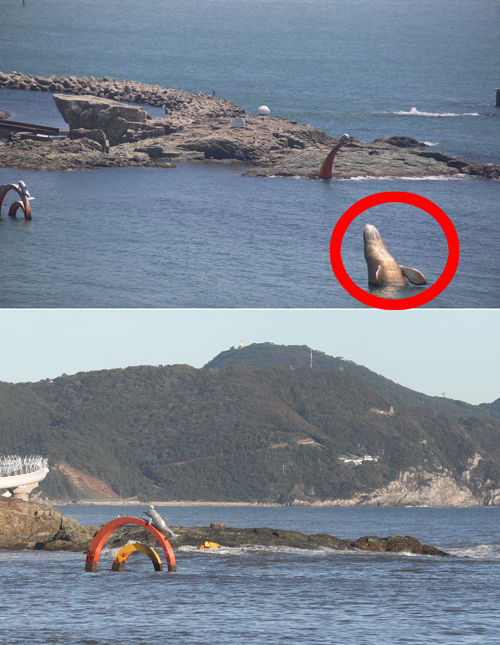 메인이미지  9 : 5일 태풍 '차바'가 휩쓸고 간 부산 송도해수욕장 해상에서 설치된 귀신고래 조형물이 강한 바람과 파도에 흔적도 없이 사라졌다. 태풍 이전 송도해수욕장의 상징이던 귀신고래 조형물(위 사진)이 태풍이 지나간 뒤(아래 사진) 보이지 않는다. 서구청은 조형물이 바다 속에 가라앉은 것으로 추정하고 있다.