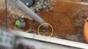 [제보영상] 쓰레기 버리더니 흙으로 '쓱'&hellip;공사현장서 버려진 양심
