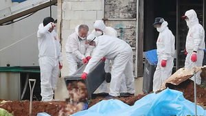 AI 옮기는 주범 철새…올해 왜 中 휩쓸었던 H5N6 퍼뜨리나