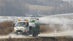 음성 오리농장 감염 AI, 고병원성 H5N6형 확진