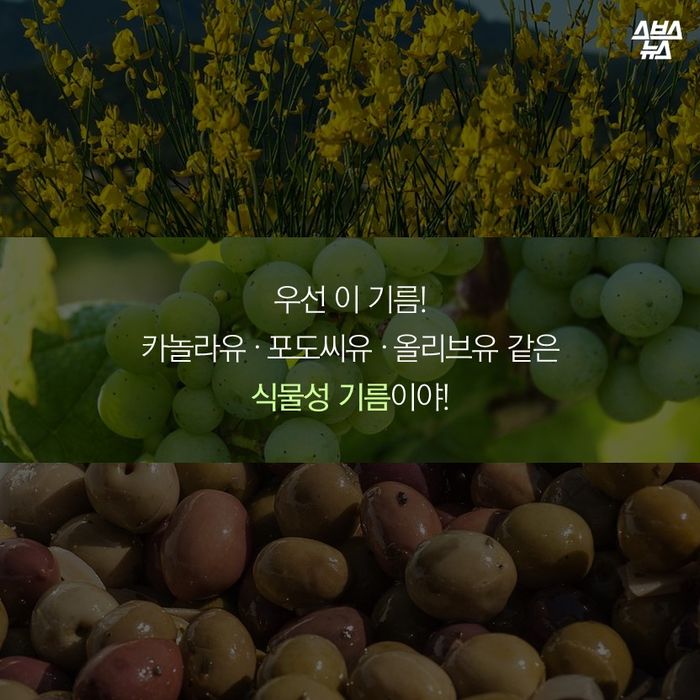 메인이미지  7 : 우선 이 기름! 
카놀라유 ？ 포도씨유 ？ 올리브유 같은
식물성 기름이야!
