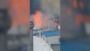 [제보영상] 대구 서문시장 대형 화재&hellip;800여 점포 '잿더미'
