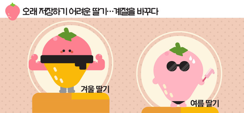 관련 사진
