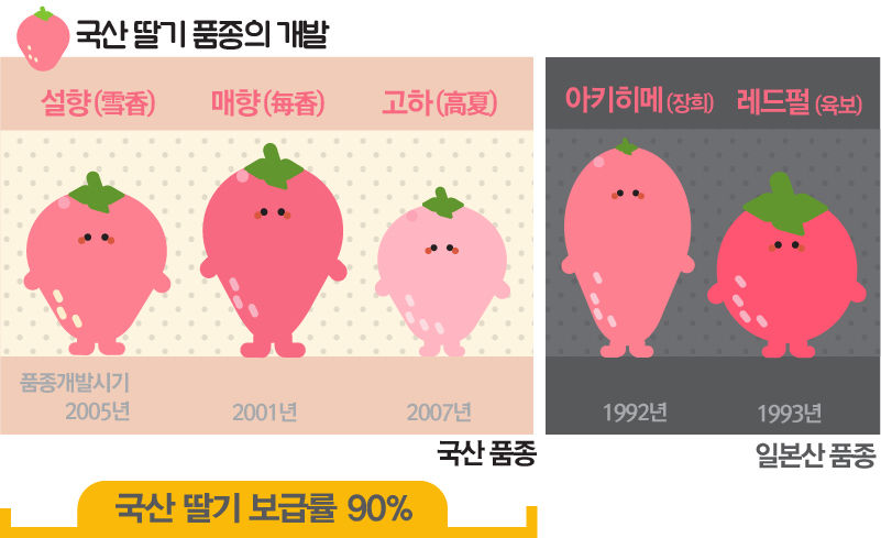 관련 사진
