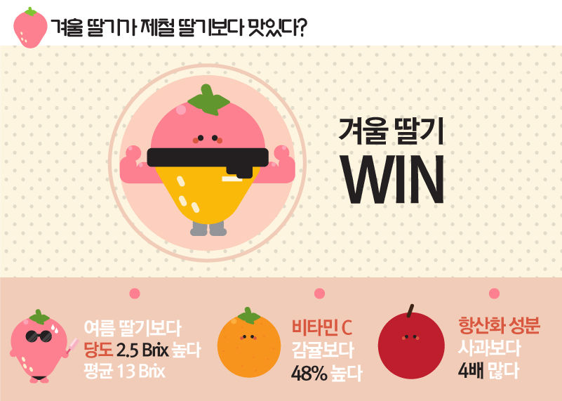 관련 사진