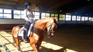 [단독] 정유라 독일 승마연습 풀영상 공개