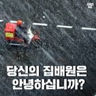 섬네일이미지  1: