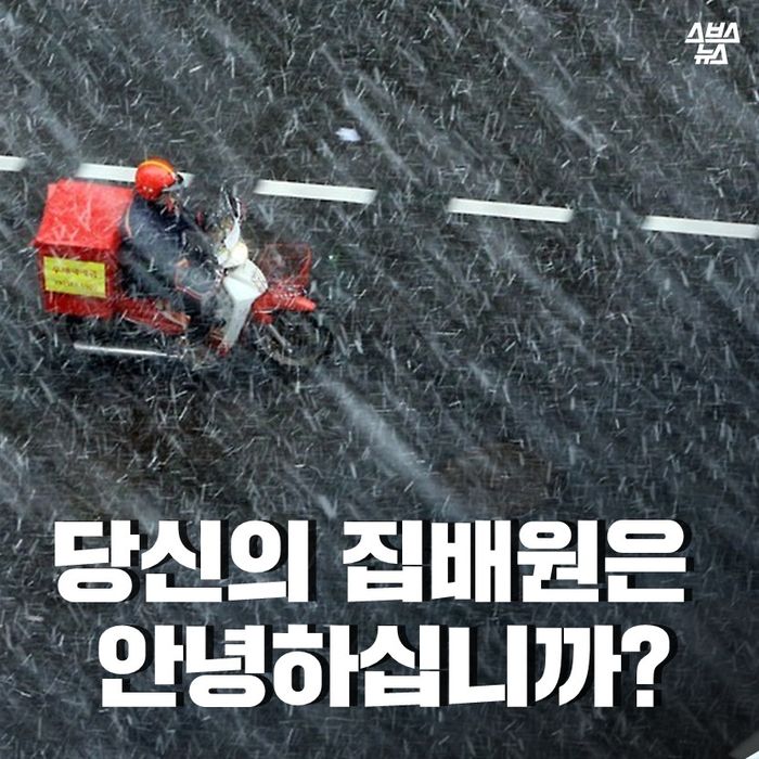 메인이미지  1 : 