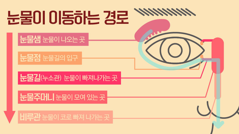 [라이프] 매서운 찬바람에 눈물이 줄줄…그냥 두면 큰일난다