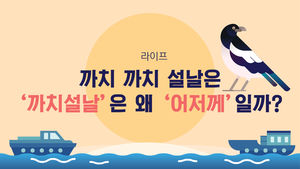 [라이프] 까치 까치 설날은…'까치설날'은 왜 '어저께'일까?