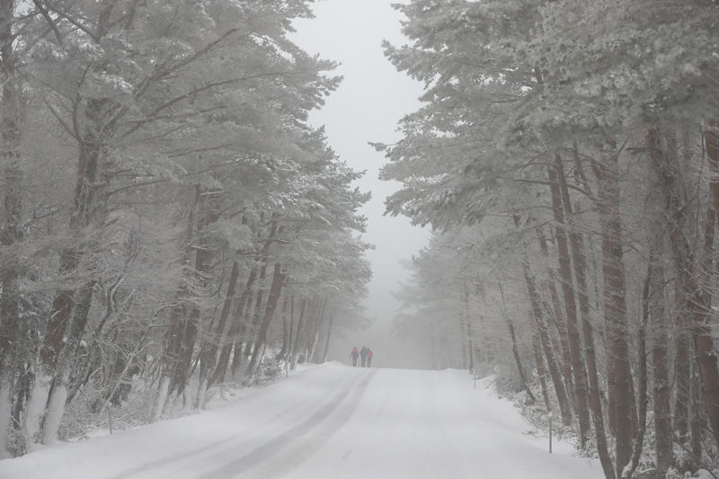 [취재파일] 대보름 한파, 서울 체감 -15℃…올 겨울 마지막 한파 되나?